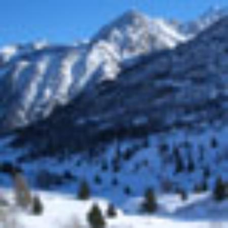 The Chicken Rice Shop